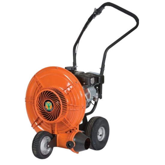 Picture of Walk Behind Blower